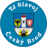 logo (1)